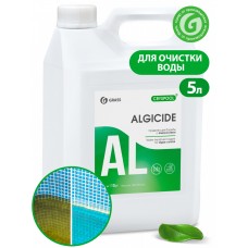 Альгицид для бассейнов CRYSPOOL Algicide (канистра 5 кг)